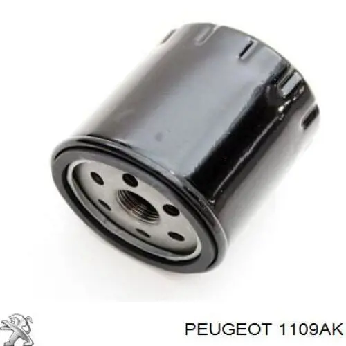 1109AK Peugeot/Citroen Filtro de óleo
