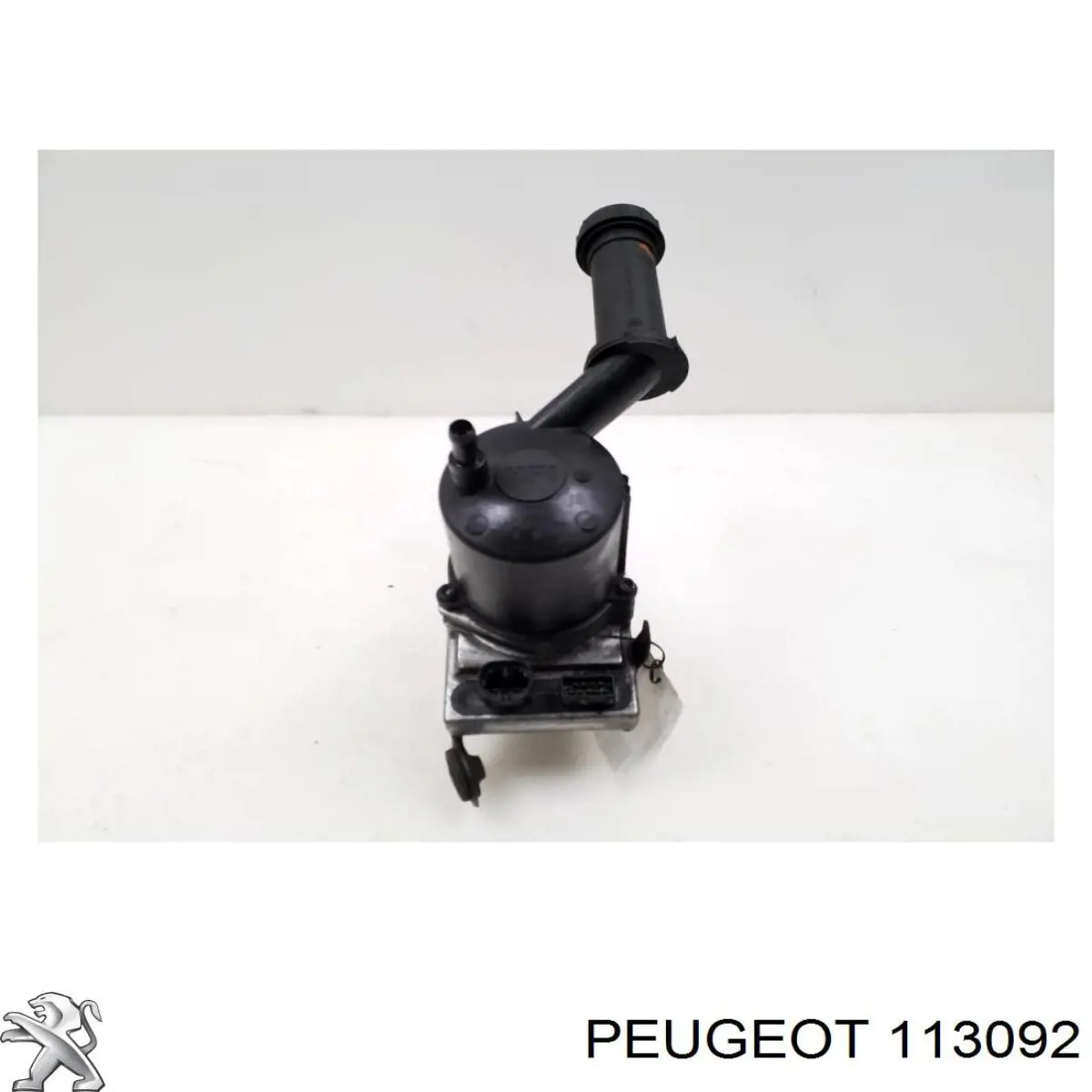 Compre 113092 Peugeot/Citroen 