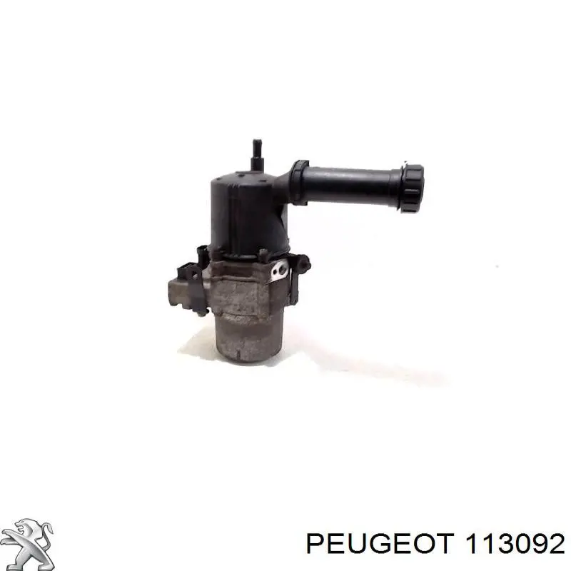  113092 Peugeot/Citroen