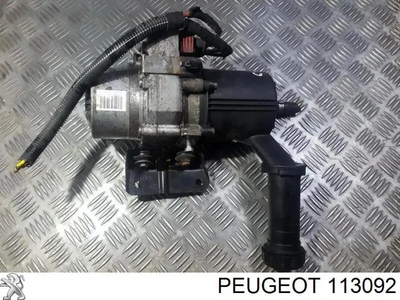 113092 Peugeot/Citroen 