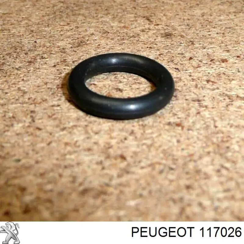0000117026 Peugeot/Citroen Anel de vedação da guia de sonda do nível de óleo de motor