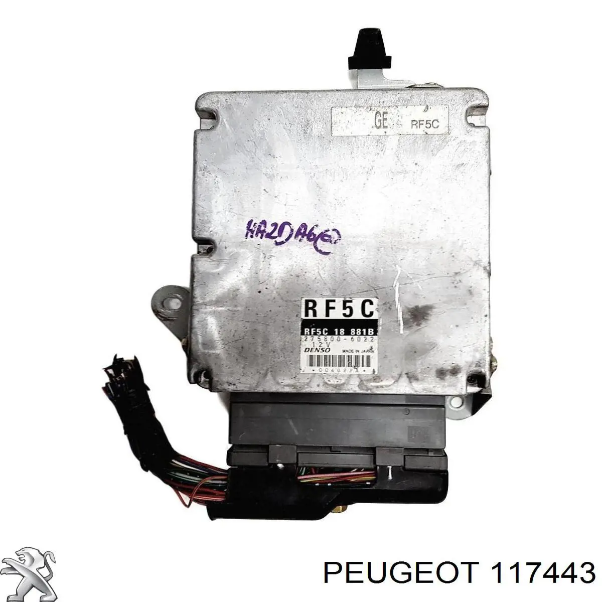 117443 Peugeot/Citroen 