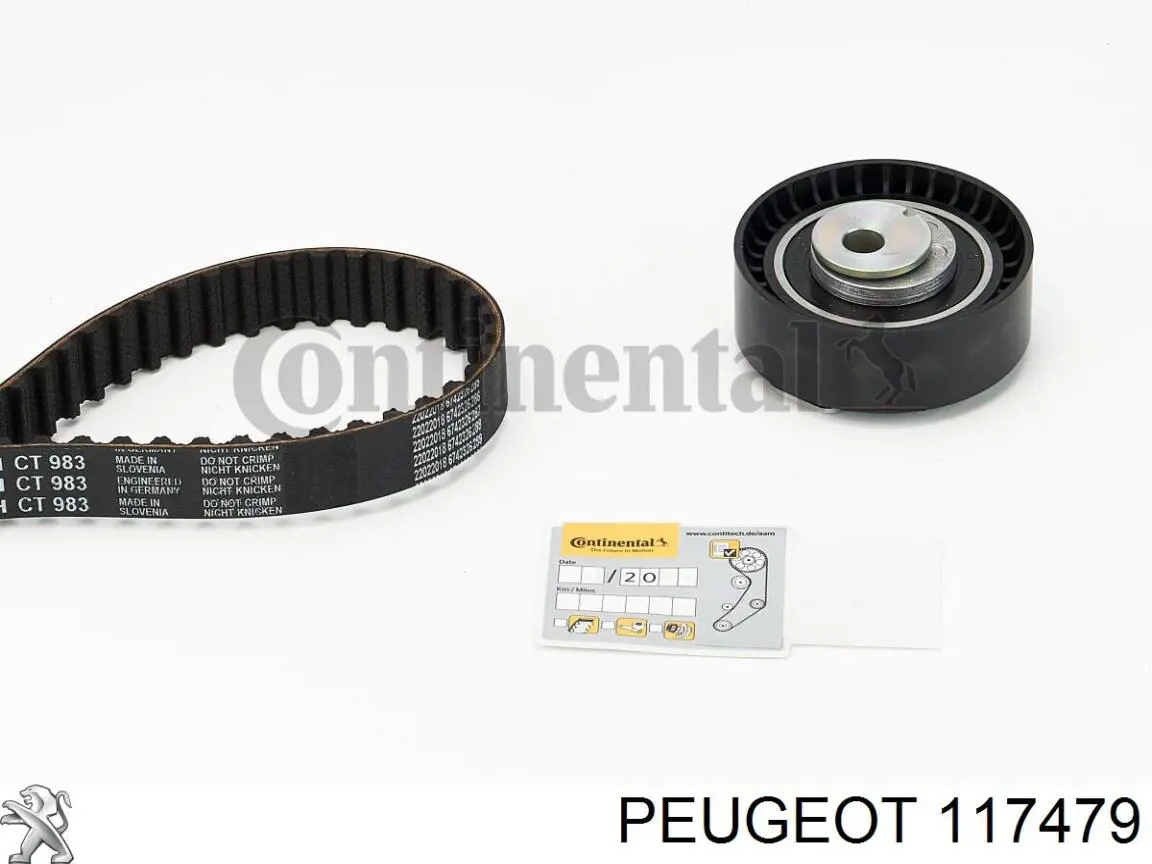 Compre 117479 Peugeot/Citroen Sonda (indicador) do nível de óleo no motor
