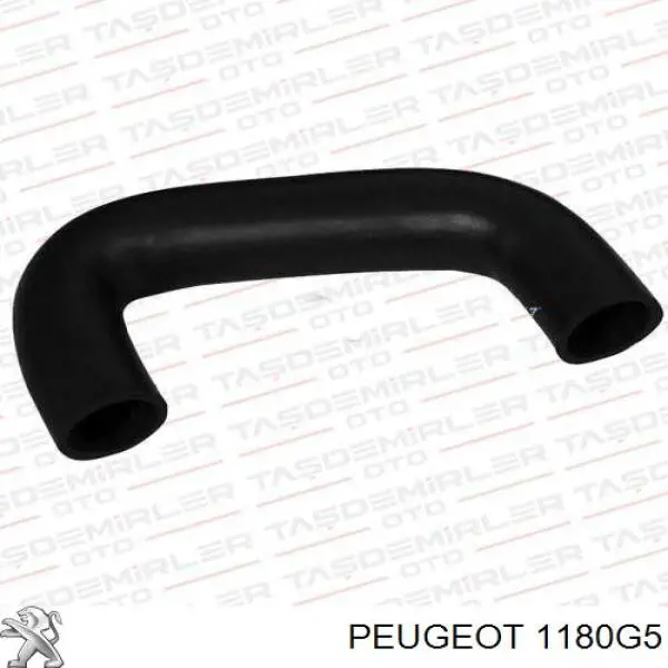 Compre 1180G5 Peugeot/Citroen Cano derivado de ventilação de cárter (de separador de óleo)
