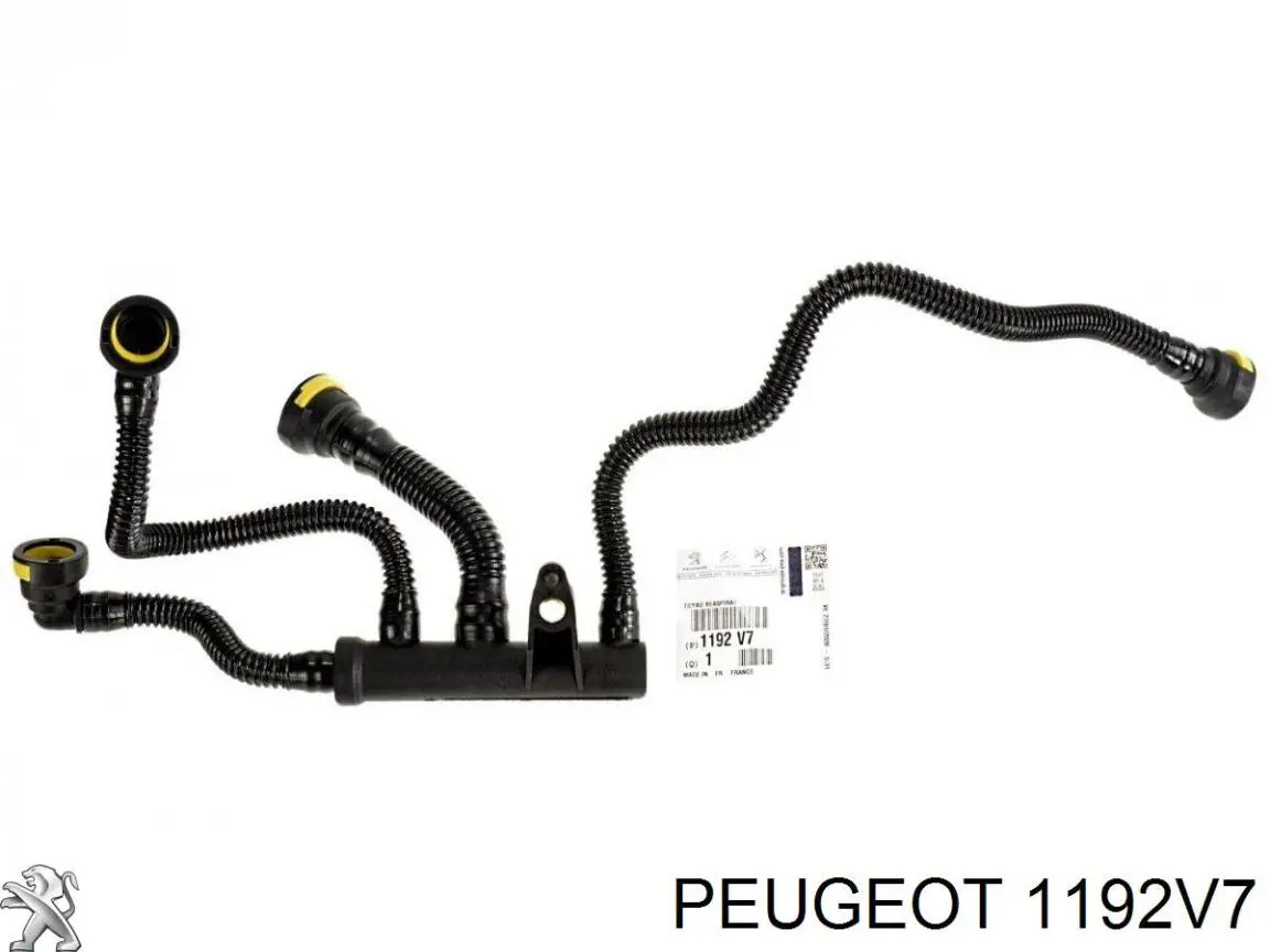 1192V7 Peugeot/Citroen Cano derivado de ventilação de cárter (de separador de óleo)