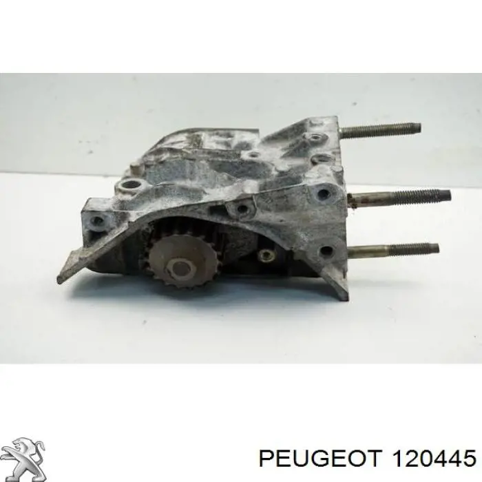 Bomba de água (bomba) de esfriamento, caixa Peugeot/Citroen 120445 preço, a partir de 226,33 USD