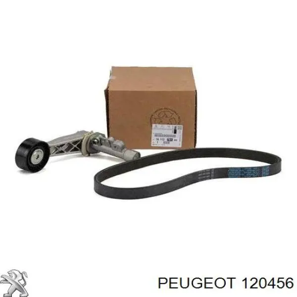Compre 10143643 Profit Rolo de reguladora de tensão da correia de transmissão