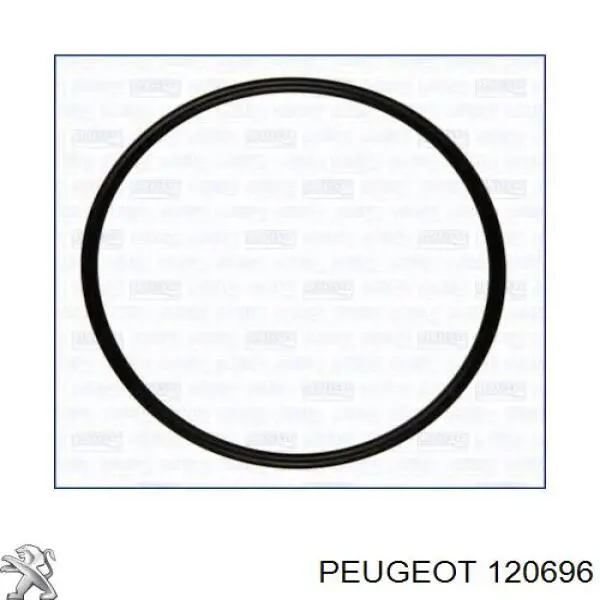 0000120696 Peugeot/Citroen Vedante de bomba de água