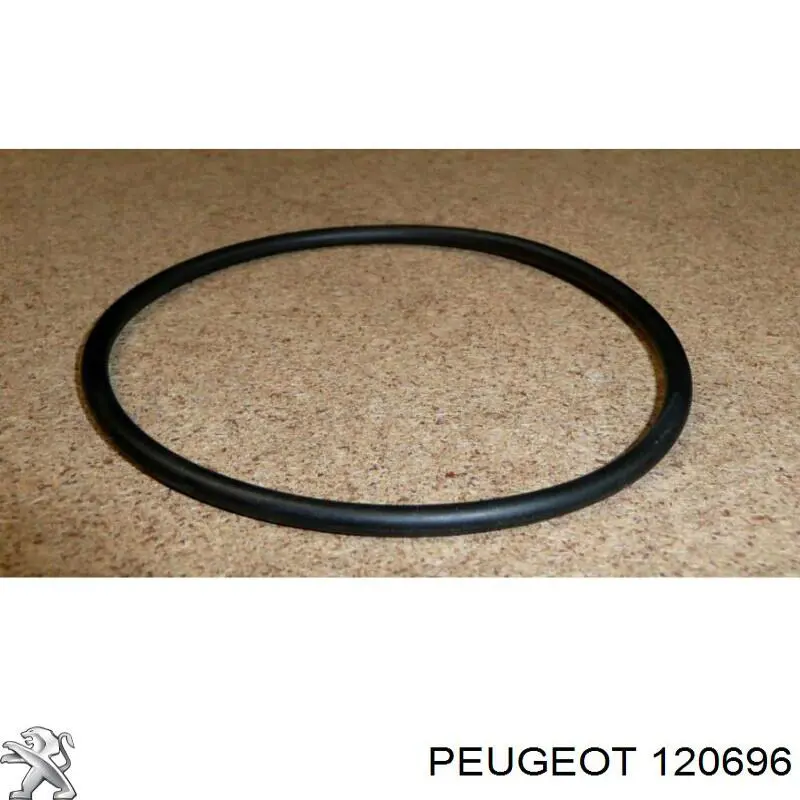 Vedante de bomba de água Peugeot/Citroen 0000120696 preço, a partir de 2,63 USD