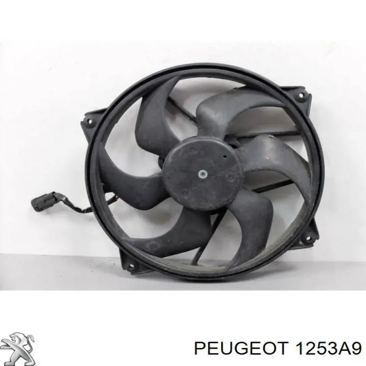 Compre 1253A9 Peugeot/Citroen Ventilador elétrico de esfriamento montado (motor + roda de aletas)