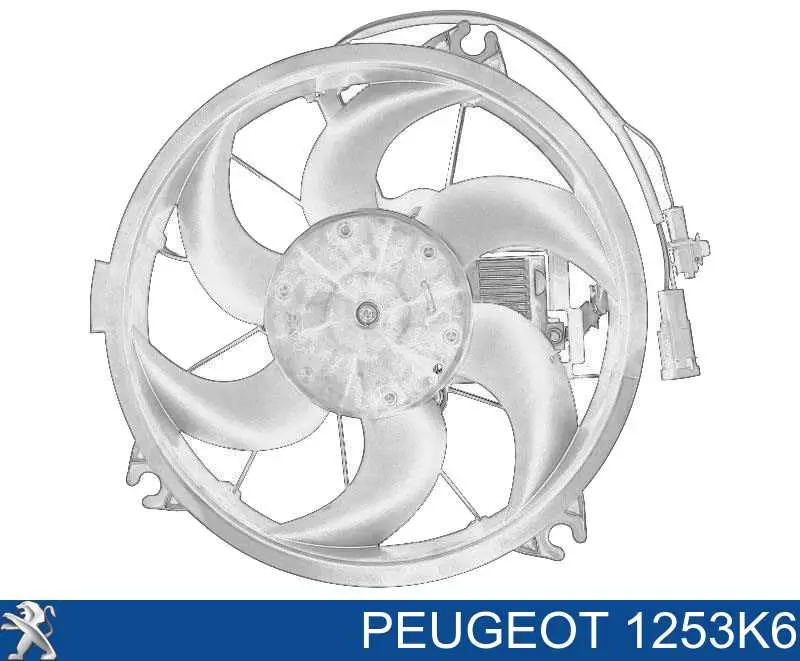 1253K6 Peugeot/Citroen 