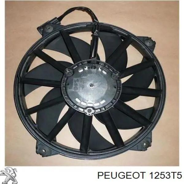 1253T5 Peugeot/Citroen Ventilador elétrico de esfriamento montado (motor + roda de aletas)