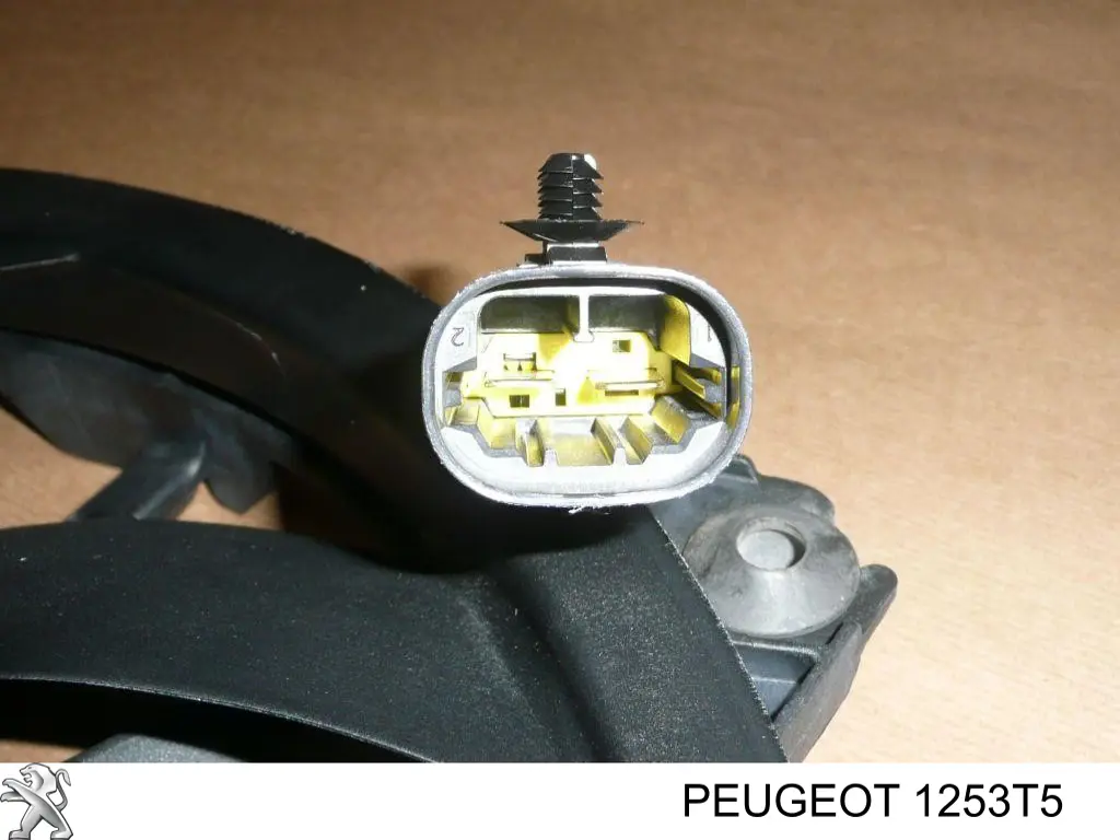 Compre 1253T5 Peugeot/Citroen Ventilador elétrico de esfriamento montado (motor + roda de aletas)