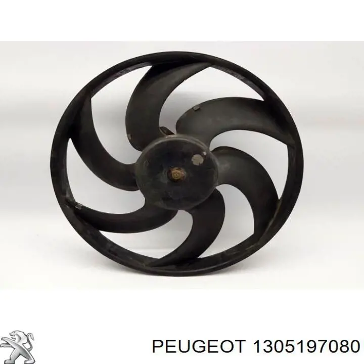 1305197080 Peugeot/Citroen 