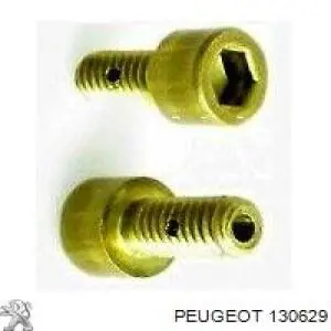 130629 Peugeot/Citroen Tubo de ligação do termostato inferior (acoplamento de desmontagem rápida)
