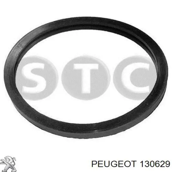Tubo de ligação do termostato inferior (acoplamento de desmontagem rápida) Peugeot/Citroen 130629 preço, a partir de 10,48 USD
