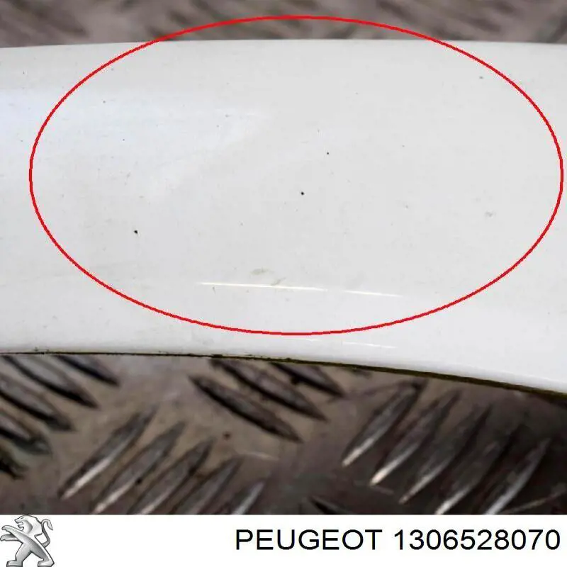  Peugeot/Citroen 1306528070
