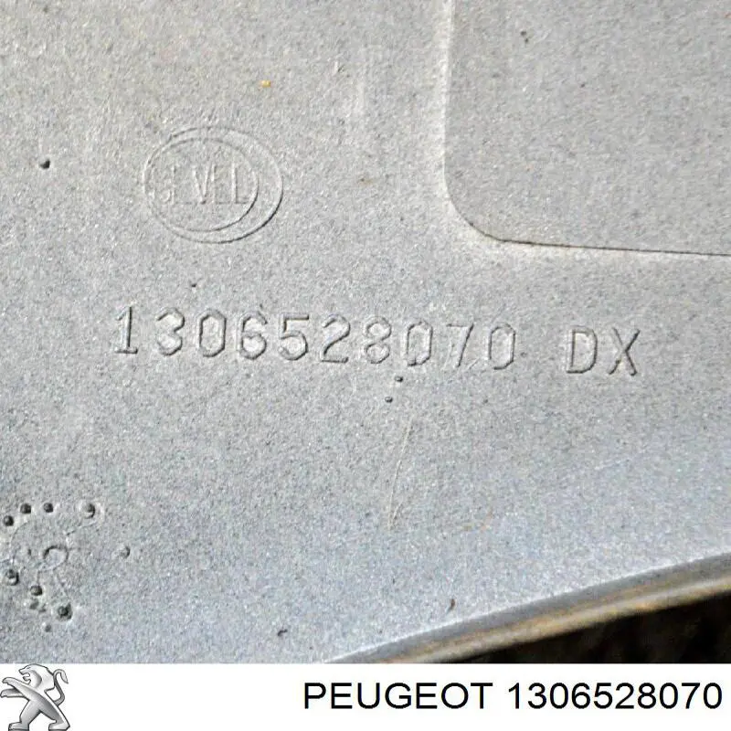 1306528070 Peugeot/Citroen 