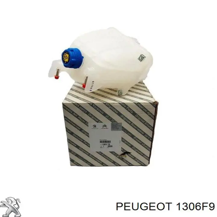 1306F9 Peugeot/Citroen 