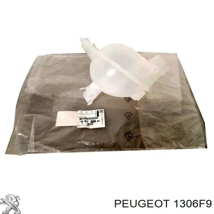 Compre 1306F9 Peugeot/Citroen 