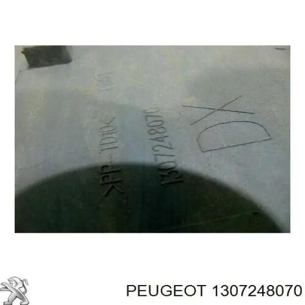 1307248070 Peugeot/Citroen Moldura da porta lateral (deslizante)