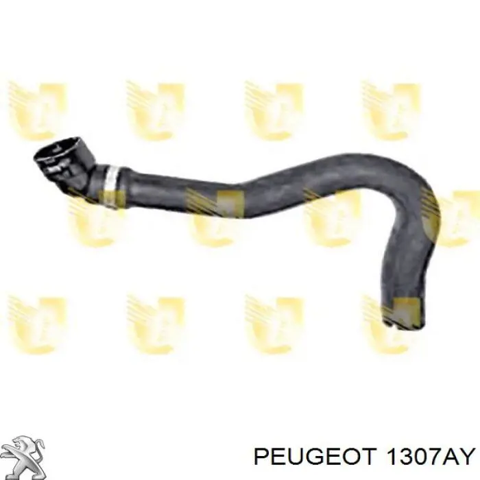 Compre 1307AY Peugeot/Citroen Mangueira (cano derivado) do sistema de esfriamento