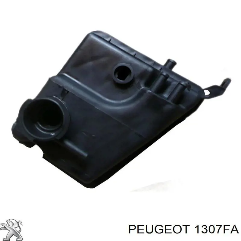 Compre 1307FA Peugeot/Citroen Tanque de expansão do sistema de esfriamento