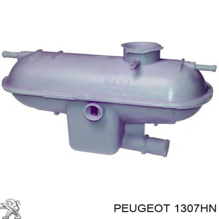 1307HN Peugeot/Citroen Tanque de expansão do sistema de esfriamento