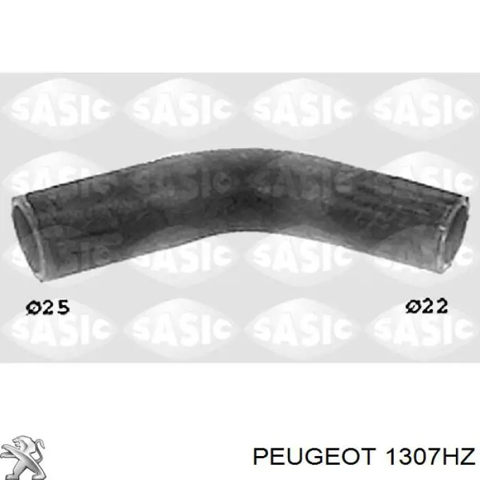 1307HZ Peugeot/Citroen Mangueira (cano derivado) do termostato