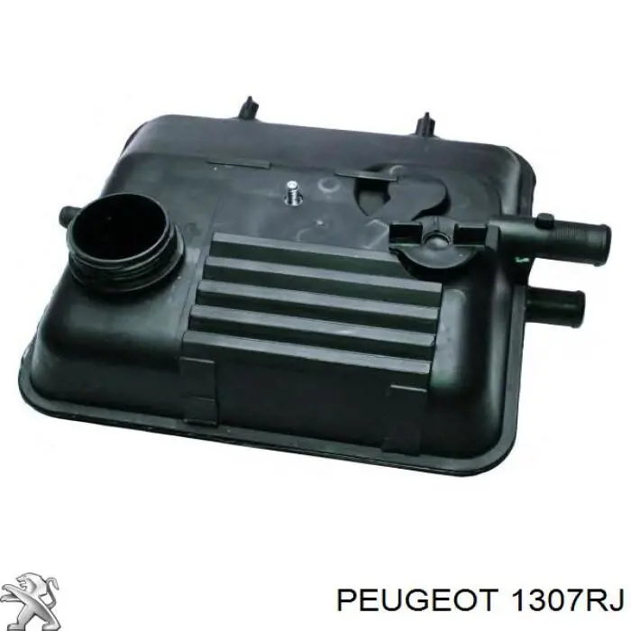 Compre 1307RJ Peugeot/Citroen Tanque de expansão do sistema de esfriamento