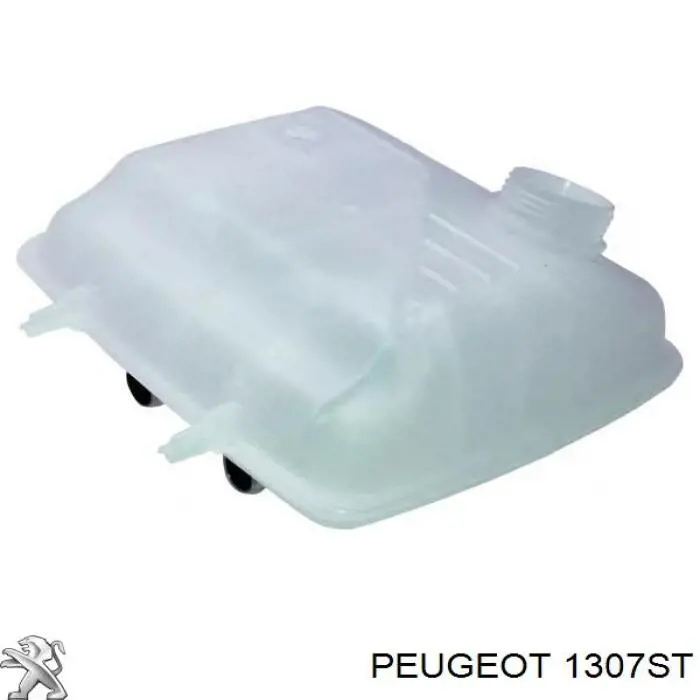 Compre 1307ST Peugeot/Citroen Tanque de expansão do sistema de esfriamento