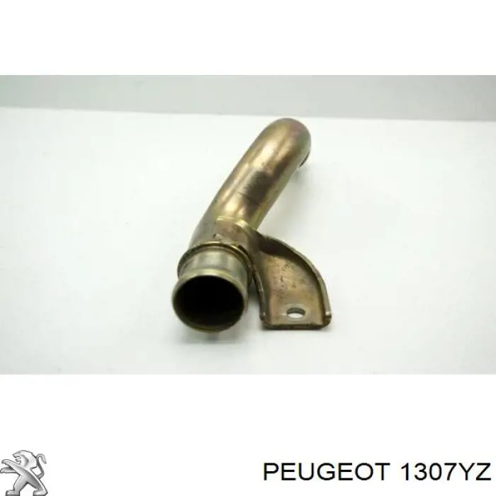 Compre 1307YZ Peugeot/Citroen Mangueira (cano derivado) do sistema de esfriamento