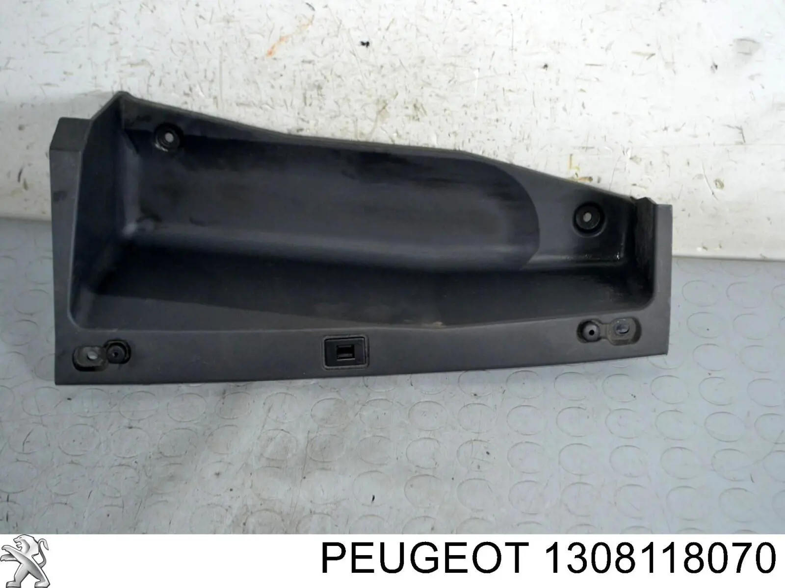 1308118070 Peugeot/Citroen 