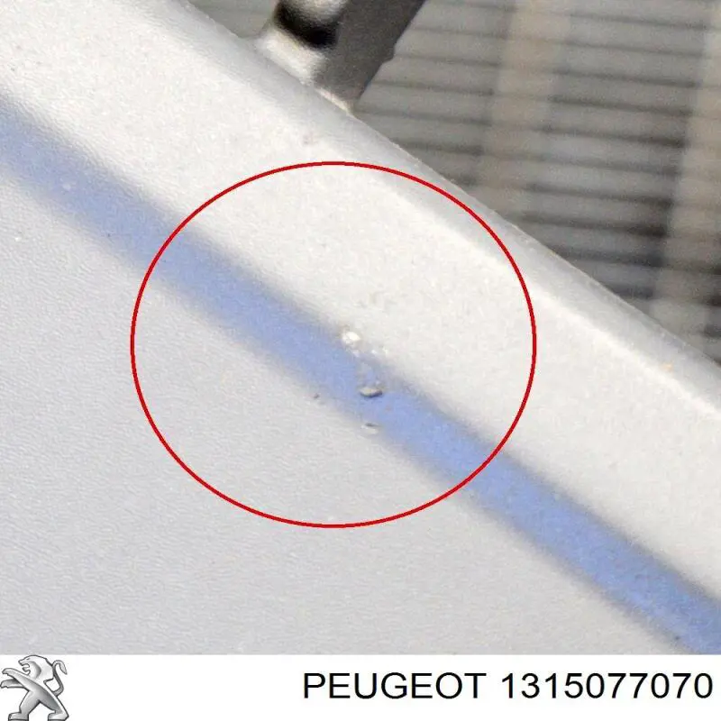 1315077070 Peugeot/Citroen Pára-choque dianteiro, parte central