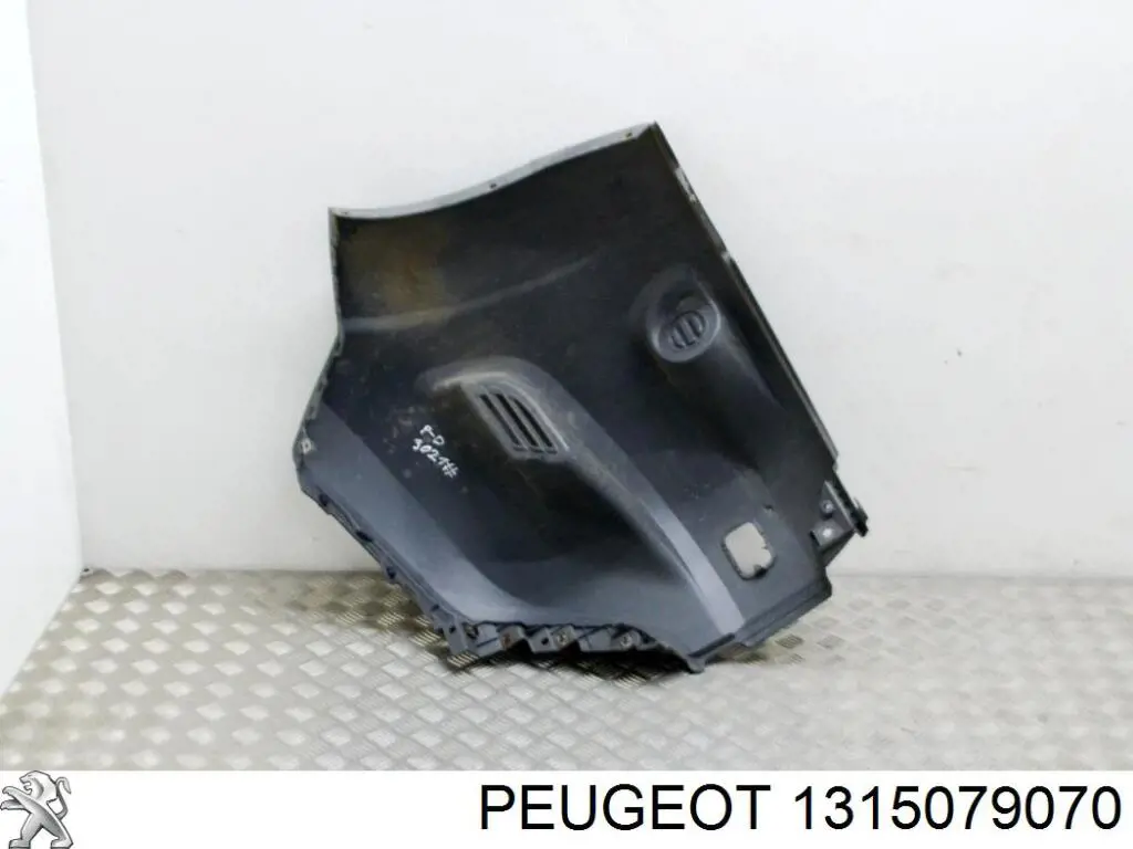  Peugeot/Citroen 1315079070