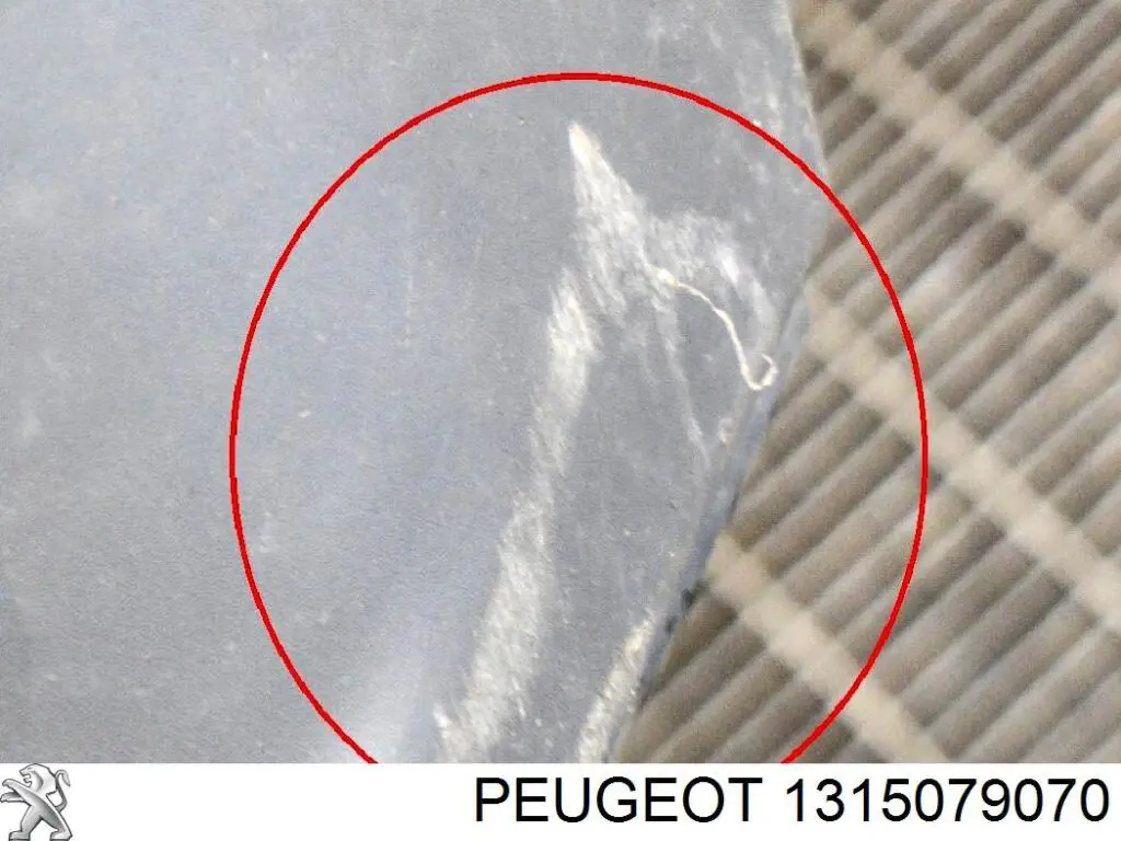 1315079070 Peugeot/Citroen Pára-choque dianteiro, parte direita