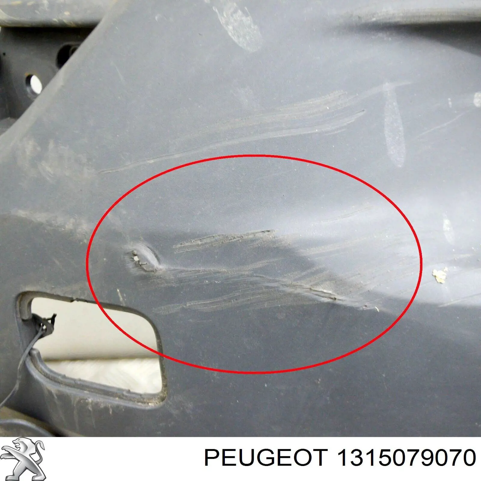 Compre 1315079070 Peugeot/Citroen Pára-choque dianteiro, parte direita