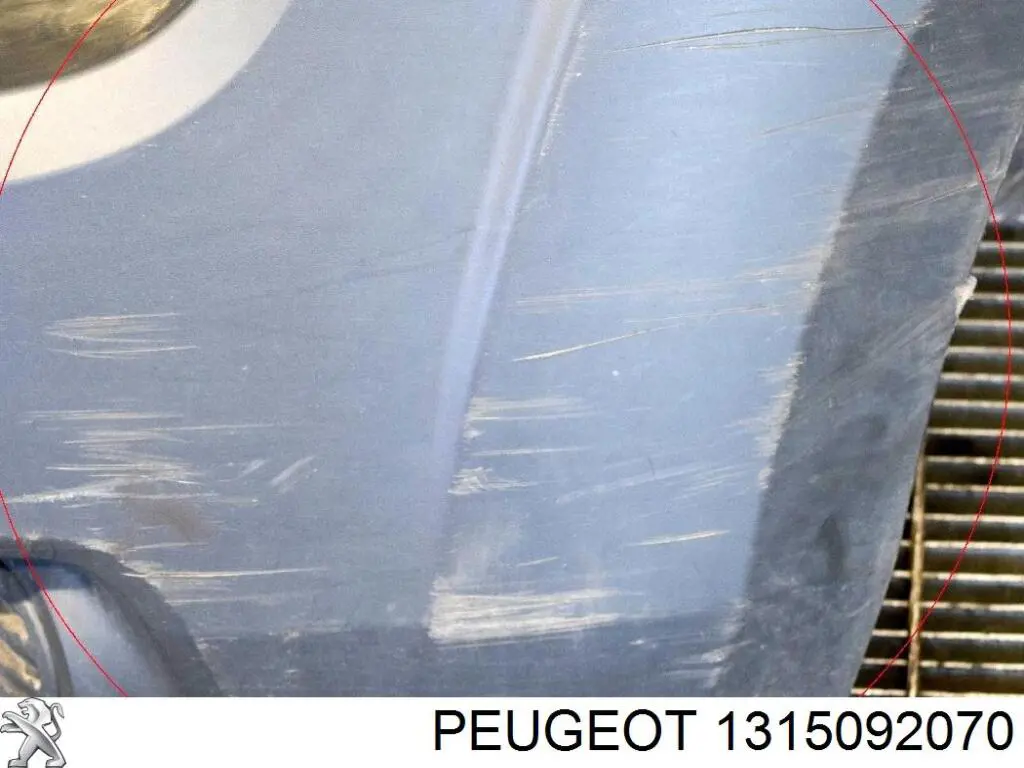 Compre 1315092070 Peugeot/Citroen Pára-choque dianteiro, parte esquerda