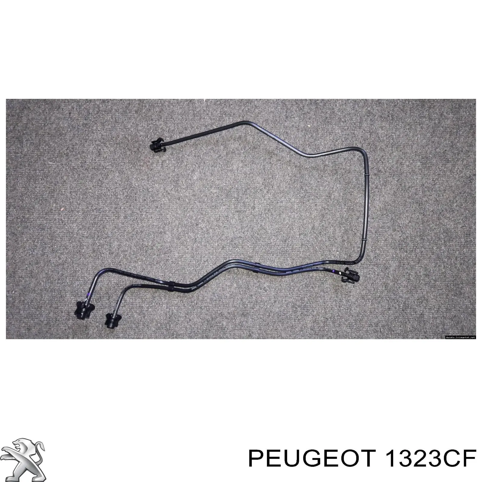 1323CF Peugeot/Citroen Mangueira superior do tanque de expansão