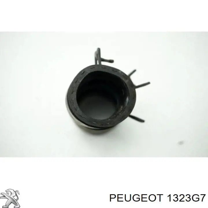 97209 Metalcaucho 