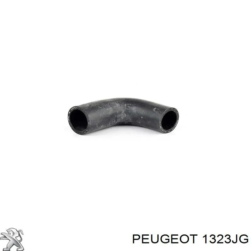 Compre 1323JG Peugeot/Citroen Mangueira (cano derivado) do termostato
