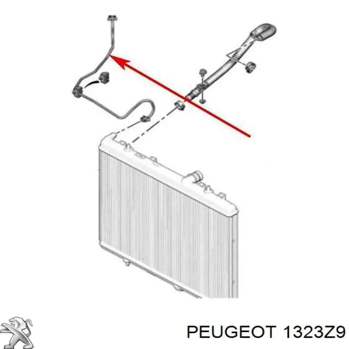 1323Z9 Peugeot/Citroen Mangueira superior do tanque de expansão