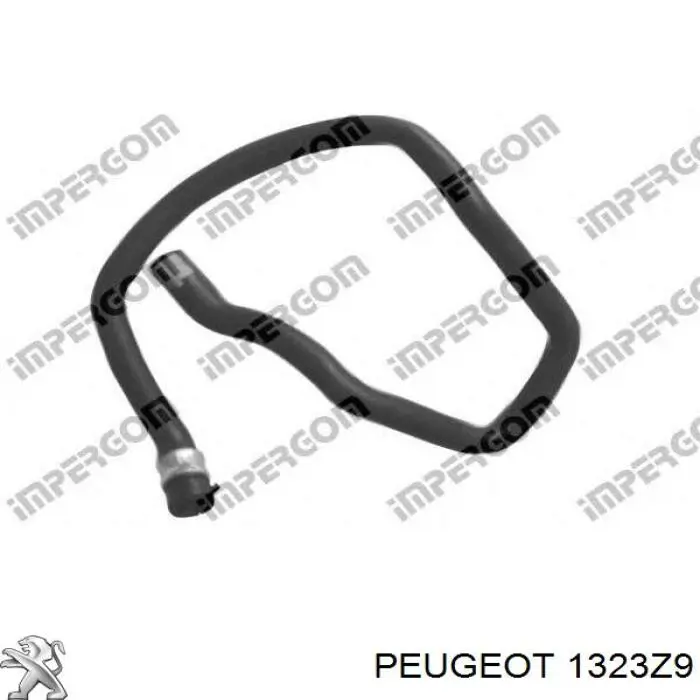 Mangueira superior do tanque de expansão Peugeot/Citroen 1323Z9 preço, a partir de 19,40 USD