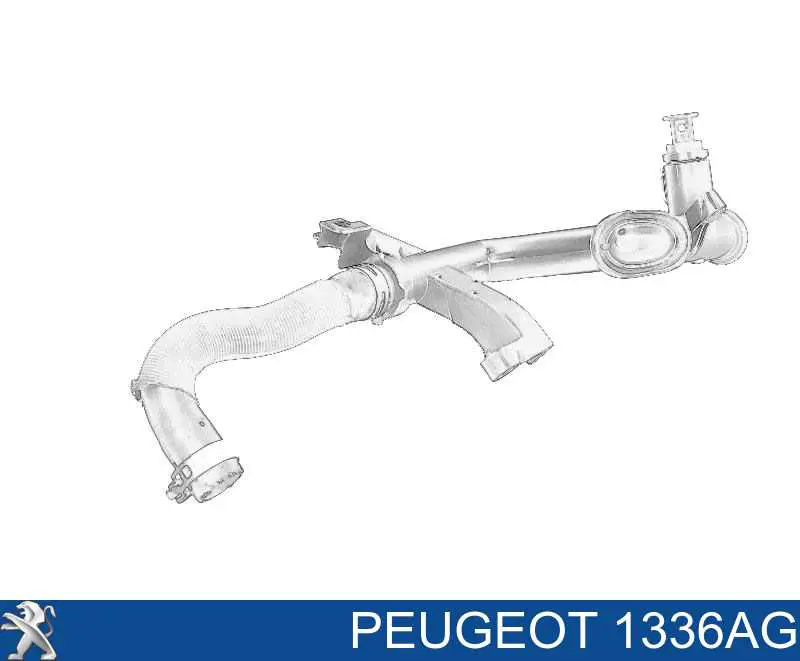 1336AG Peugeot/Citroen Mangueira (cano derivado) do sistema de esfriamento