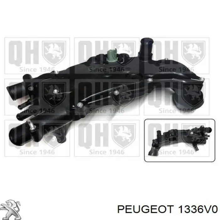 1336V0 Peugeot/Citroen Termostato