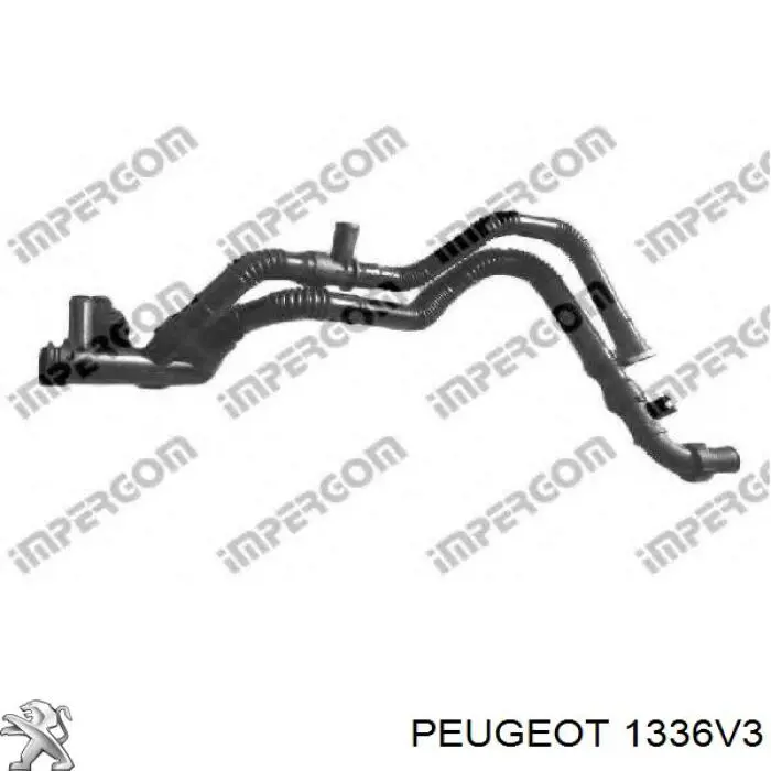 Compre 1336V3 Peugeot/Citroen Mangueira (cano derivado) de bomba de água de admissão