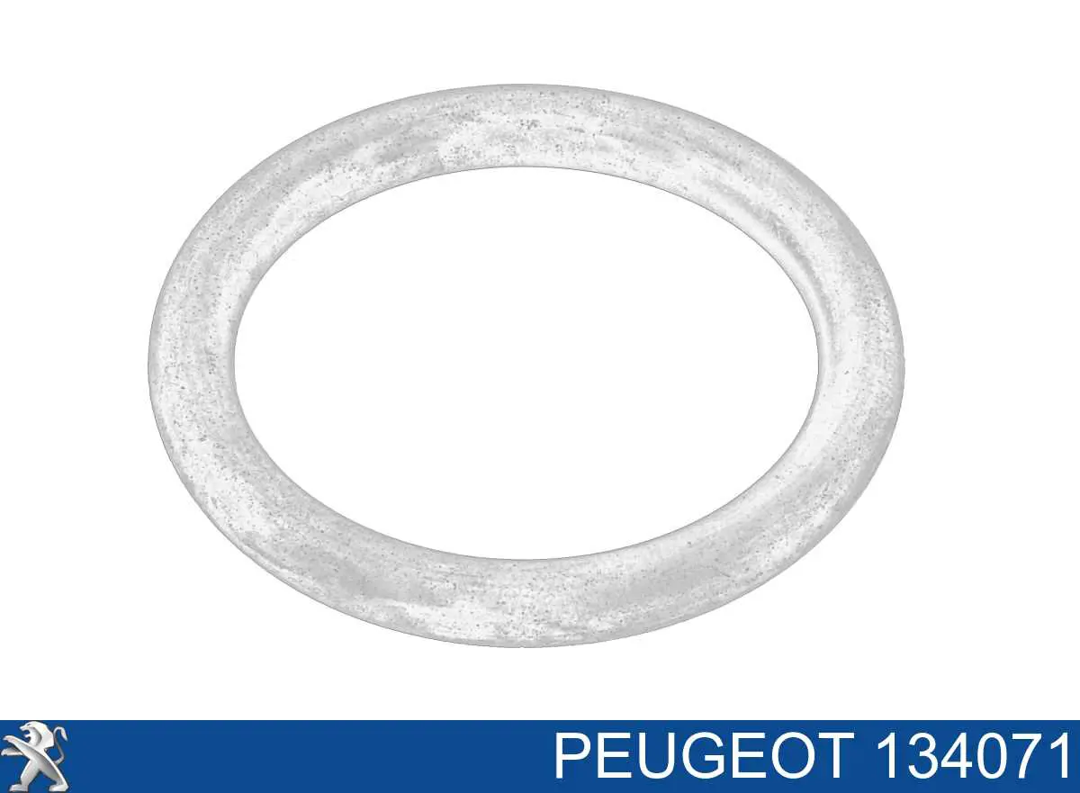 134071 Peugeot/Citroen Vedante anular do sistema de esfriamento