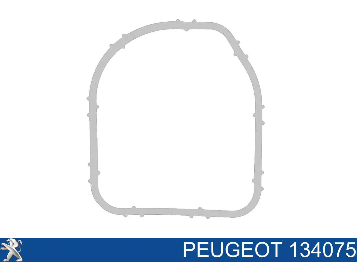134075 Peugeot/Citroen Vedante de caixa do termostato