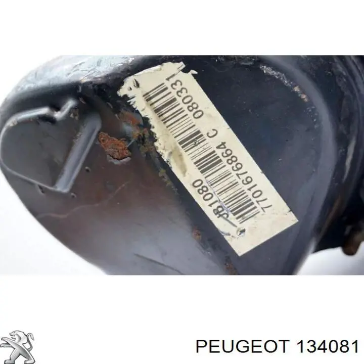 134081 Peugeot/Citroen Vedante de caixa do termostato