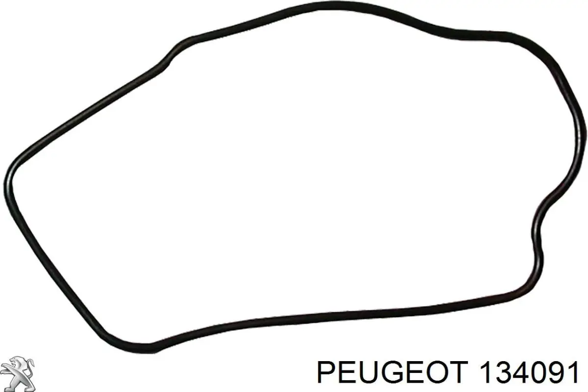 134091 Peugeot/Citroen Vedante de caixa do termostato